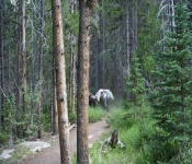 Backpacking 06 029